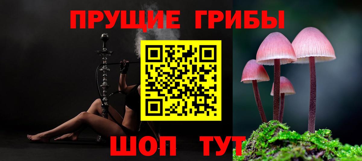 Чернушка  Псилоцибиновые грибы MAGIC MUSHROOMS  Вход с VPN 